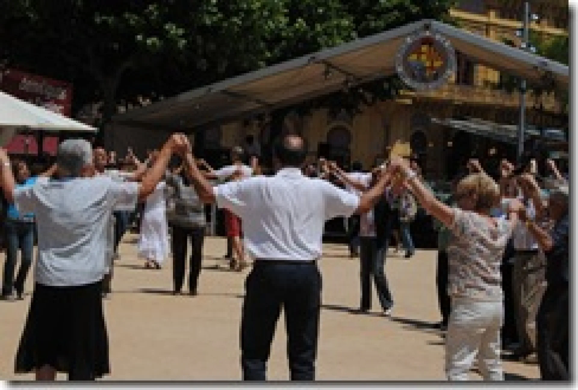 5580 aplec sardanes 2011
